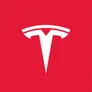 ✅TESLA AI