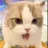 开