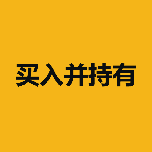 Giá 买入并持有