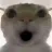 鼠鼠