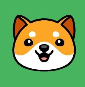 Precio de 宝贝狗