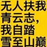 无人扶我青云志，我自踏雪至山巅