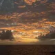 星辰大海 Narxi