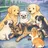 7DOGE