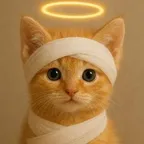 血猫（血猫）轉換器與計算器