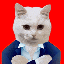 CatElonMars