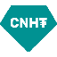 What is Tether CNHt(CNHt)