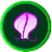 SEED