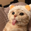 什麼是 Tongue Cat(LUIS)