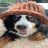 DOGSWAG
