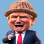 Что такое TrumpWifHat(TWIN)