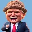 TrumpWifHat (TWIN) converter at calculator
