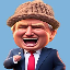 Cena TrumpWifHat
