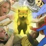1dog