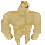 Swole Doge