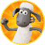 Цена SHAUN INU