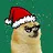 XDOGE
