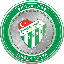 base info Bursaspor Fan Token