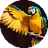 RIGHT WING