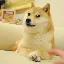 Convertitore e calcolatore di Own The Doge (DOG)