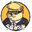 Doge of WallStreetBets (DWSB) Konverter und Rechner