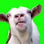 Czym jest LICKGOAT(LICK)