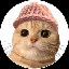 Цена Meowifhat