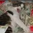 402CAT