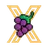 XGRAPE