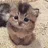 CATME