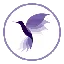 Máy tính và chuyển đổi Hummingbird Finance (Old) (HMNG)