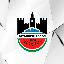 Diyarbekirspor Token 價格