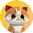 CHITCAT