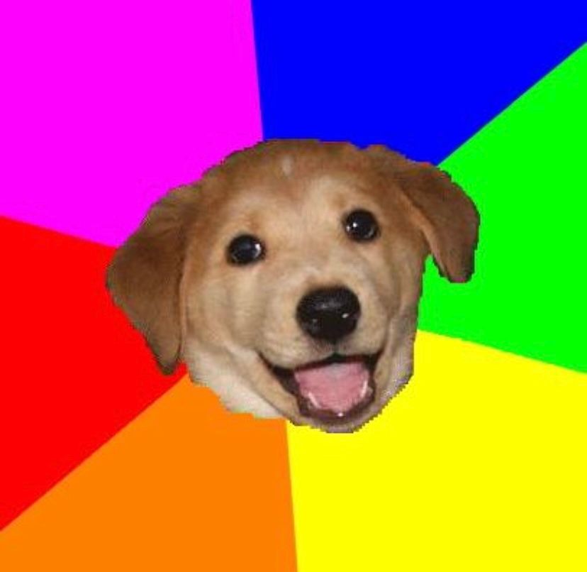 4Dog