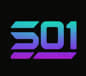 什么是 501(501)