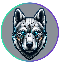 base info cyberdoge