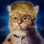 Cena TRUMP CAT