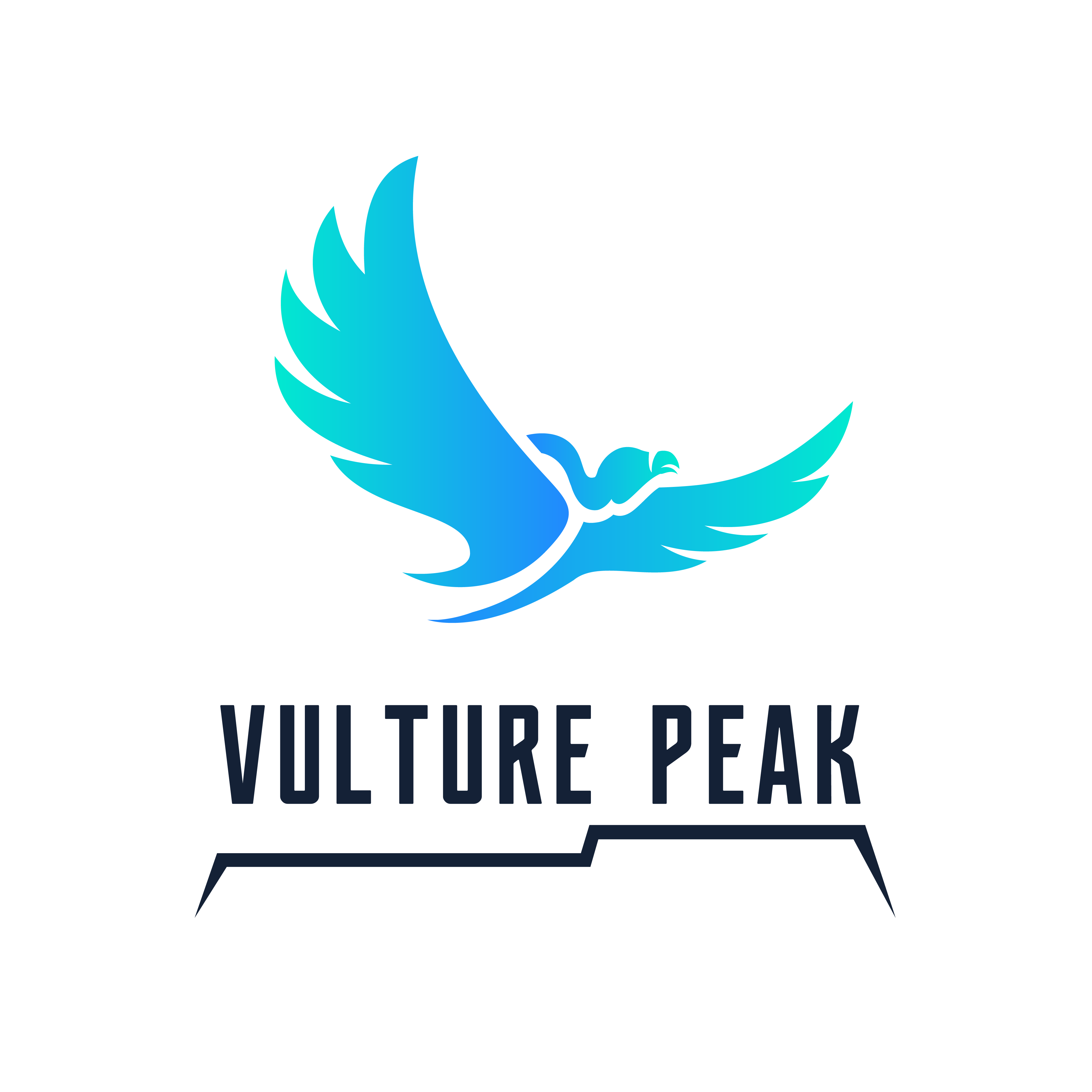 Що таке Vulture Peak(VPK)