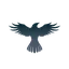 أداة تحويل وحاسبة عملة Raven Protocol (RAVEN)
