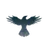 RAVEN