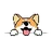 CORGI