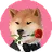 VDOGE