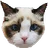 BENJI