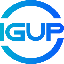 Що таке IGUP (IguVerse)(IGUP)