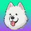 similar-2023-05-26-1:Samoyedcoin