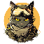Wie verkauft man Kitten Haimer (KHAI)