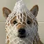 Convertitore e calcolatore di Wrapped Dog (WDOG)