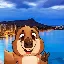 Conversor e calculadora de SelfieSteve (SSE)