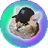 SOLCAT