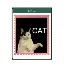 Conversor e calculadora de Team Cat (TCAT)